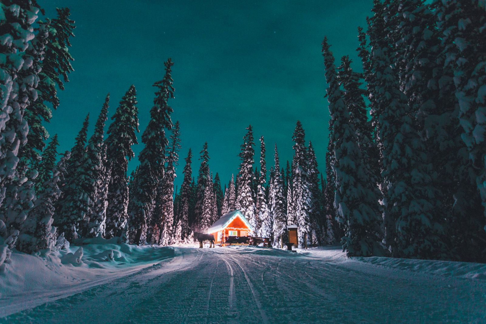 <who>Photo Credit: Big White Ski Resort</who>