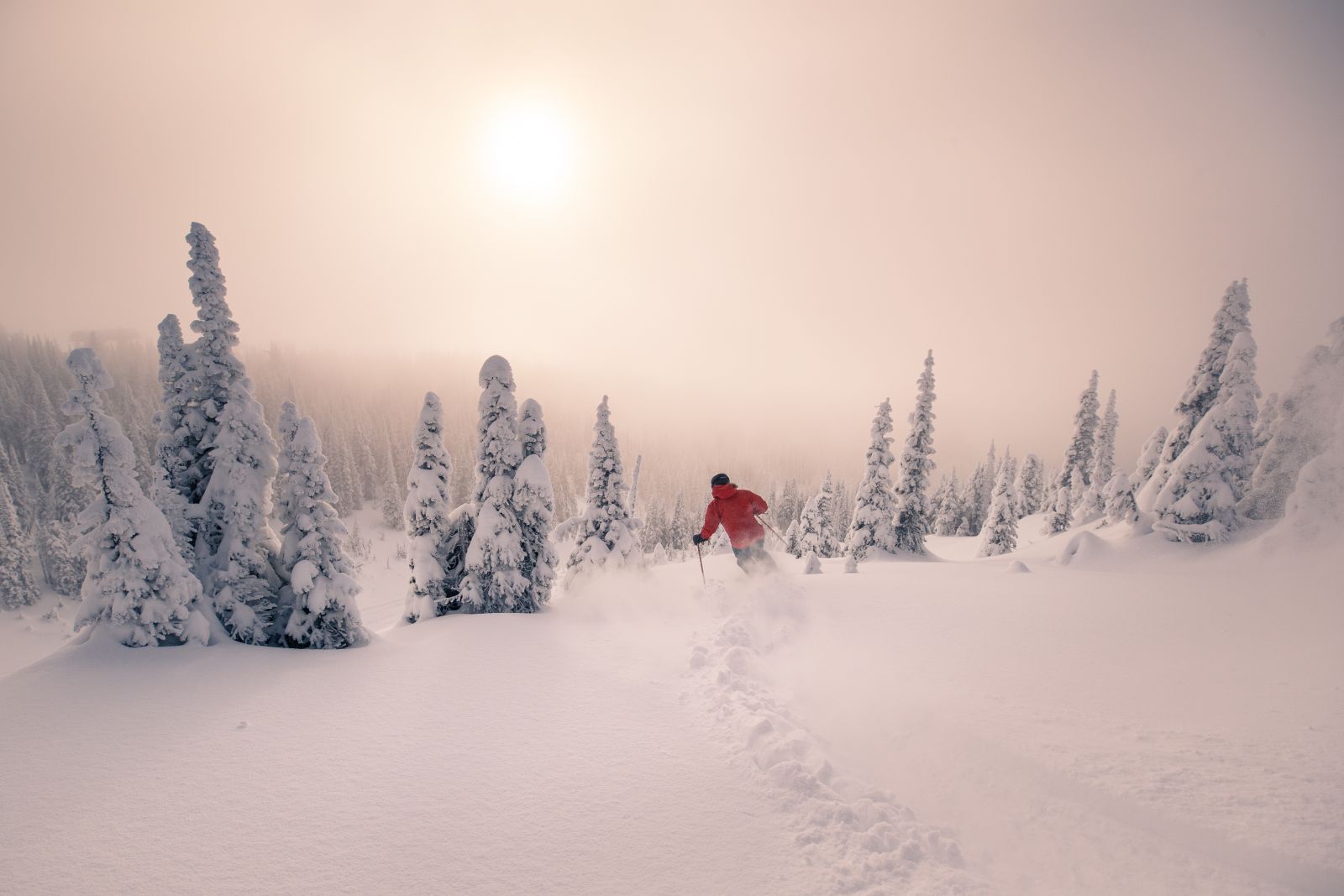 <who>Photo Credit: Geoff Holman | Date Taken: December 14, 2019</who> Photo taken by Geoff Holman on December 14,2019 